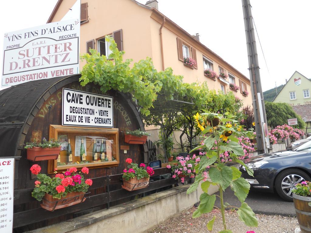 Rentz Martine Apartment Riquewihr Cameră foto
