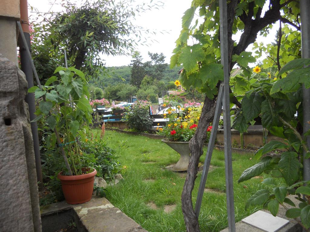 Rentz Martine Apartment Riquewihr Cameră foto